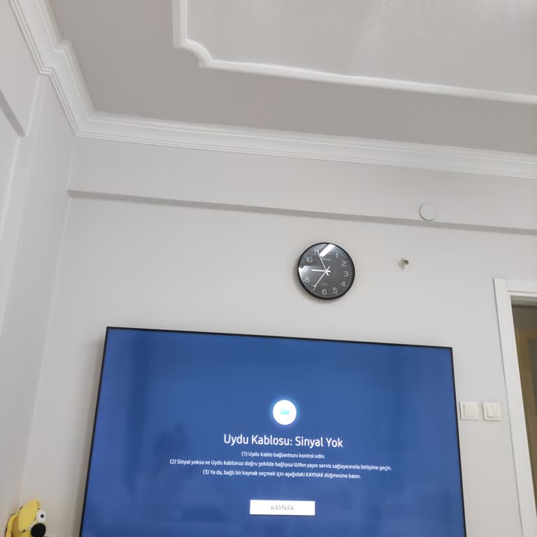 Samsung TV'de Uydu Kanalı Alınamıyor Ve Müşteri Hizmetleri Destek Vermiyor