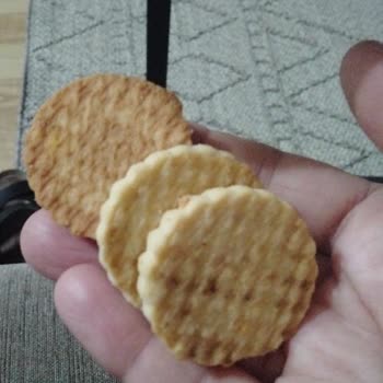 Torku Miniki Turtacık Ürününde Yanık Tat Ve Koku