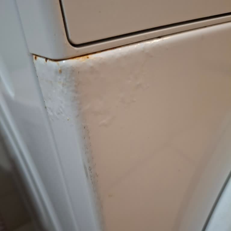Bosch Çamaşır Makinesinde Boya Kabarması Ve Pas Sorunu Ücretsiz Onarım Talebi