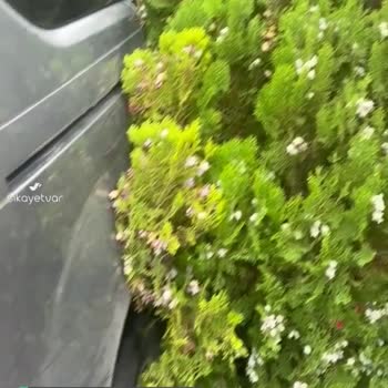 Citroen Ata Servis Ankara Aracımıza Zarar Verdi