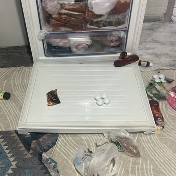 Profilo Buzdolabının Menteşeleri Kırıldı: Yaralanma, Hasar Ve Hızlı Değişim Talebi