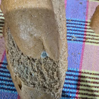 A101 Bakırköy'da Nimet Markalı Ekmekte Küf Sorunu