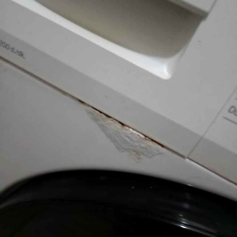 Beko Çamaşır Makinesinde Paslanma Ve Boya Kabarması Sorunu Ücretsiz Değişim Talebi