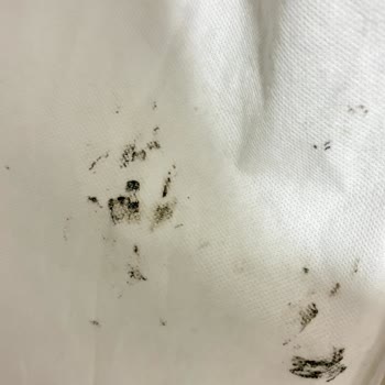 Satılan Gelinlik Kirli Ve Kötü Koku, Ücret İadesi Talebi