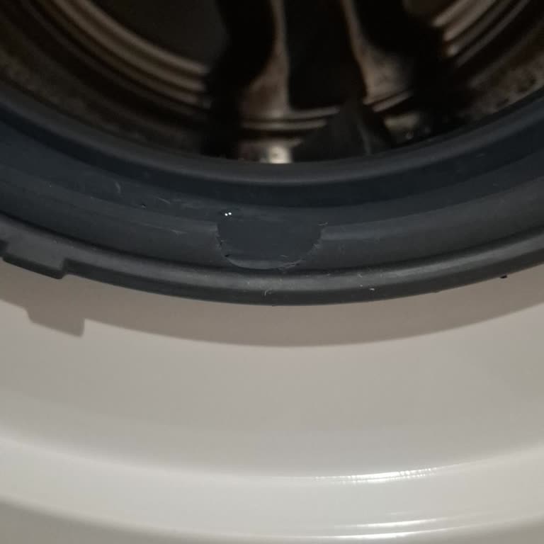 Garanti Kapsamındaki Bosch Çamaşır Makinesinin Körük Lastiği Ücretsiz Onarılmalı