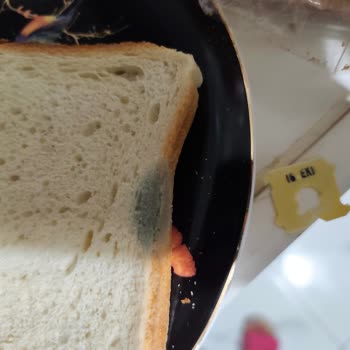 Küflü UNO Süper Dilim Ekmek İçin İade Talebi