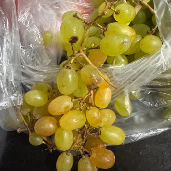 Migros Sanal Market’te Manav Ürünleri Çürük Ve Küflü Gönderiliyor