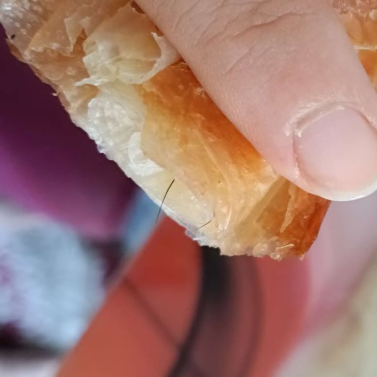 Yemeksepeti'nde Börekte Kıl Çıktı Ve 250 TL İade Gelmedi