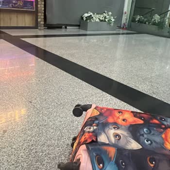 Pegasus Uçuşunda Kırık Valiz Tekerleği İçin Tazminat Reddi Haksızlığı