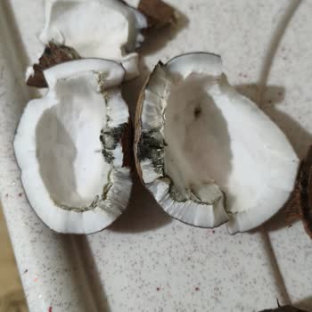 Migros Sanal Market’te Çürük Hindistan Cevizi Teslimatı Ve İade Sorunu