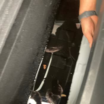 Bagaj Yangın Tüpü Bölümünde Su Birikmesi Ve Ücretsiz Tamir İsteği