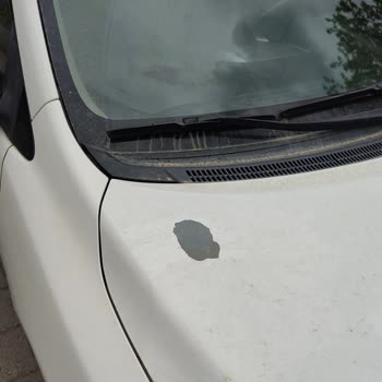 Toyota Corolla Boya Dökülmesi İçin Cevap Almayan Servis Şikayeti