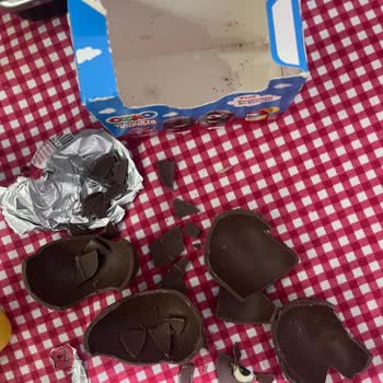 Şölen Ozmo Yumurta Kafalar Çikolatasında Kurt Tespiti