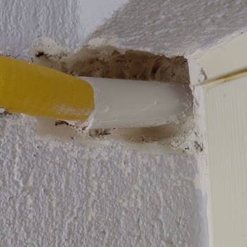 Fortes Mühendislik’in Gaz Boru Tesisatındaki Güvenlik Açığı Ve Geciken Onarım Tarihi