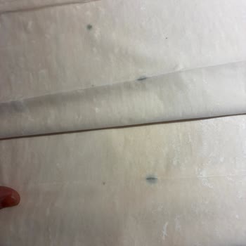 Şok Market’ten Aldığım Küflü Baklavalık Yufka Ürünü İçin İade Talebi