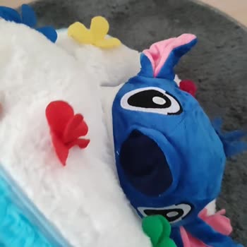 Toyzibox'tan Gelen Stitch Buketinin Hasarlı Olması Ve İade Talebine Cevap Almama