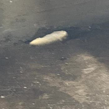 Kirazpınar Mahallesi’nde Yağmur Suyu Evleri Bastı, Altyapı Ve Yol Sorunu Acil Çözülmeli