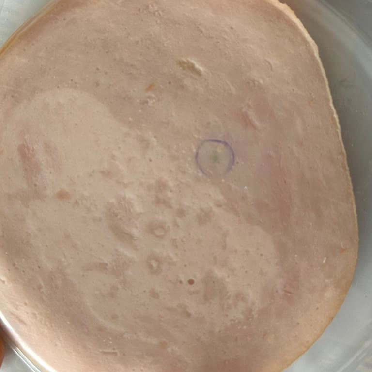 Şok Market Yıldız Şubesi'nde Polonez Hindi Füme Ürünün Küf Sorunu