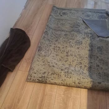 Yapı Hatası Nedeniyle Sürekli Su Baskını, Nova Mimarlık Sorumluluk Reddi