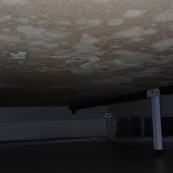 Doğtaş’ta Küflü Baza Üzerine Kullanıcı Hatası İddiası Ve Servis İhmali