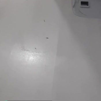 Philips Ürünümden Memnun Kalmadım
