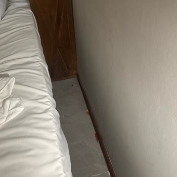 Sahil Kamp'ta Hijyen Eksikliği Ve Ücret İadesi Talebi