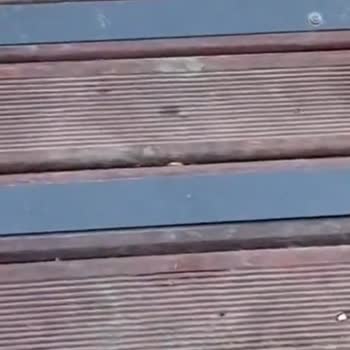 Mola Mersin’de Kirli Odalar, Temizlenmemiş Havuz Ve Sert Personel