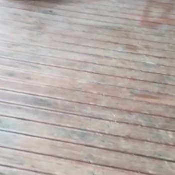 Mola Mersin’de Kirli Odalar, Temizlenmemiş Havuz Ve Sert Personel