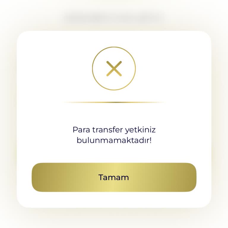 Gerekçesiz Hesap Kısıtı Ve Cevapsız Müşteri Hizmeti