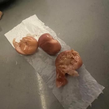 Bozuk Gülpembe Yeşil Zeytin Ürünüm İçin İade Ve Açıklama Talebi