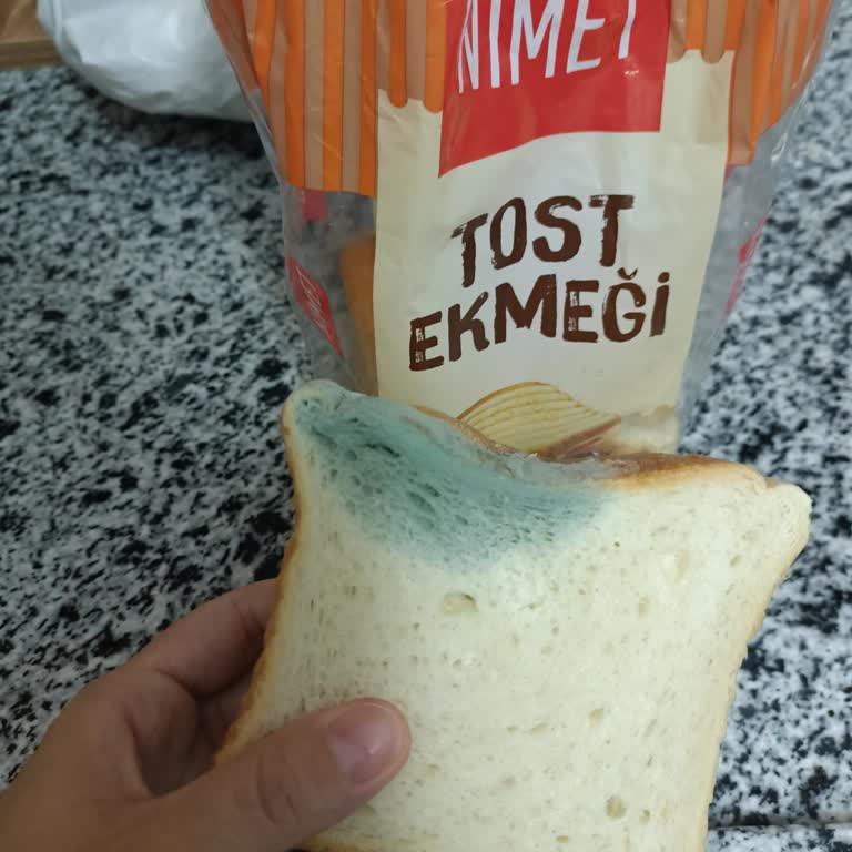 Bursa Orhangazi A101 Şubesinde Küflü Tost Ekmeği Satışı Sağlık Riski