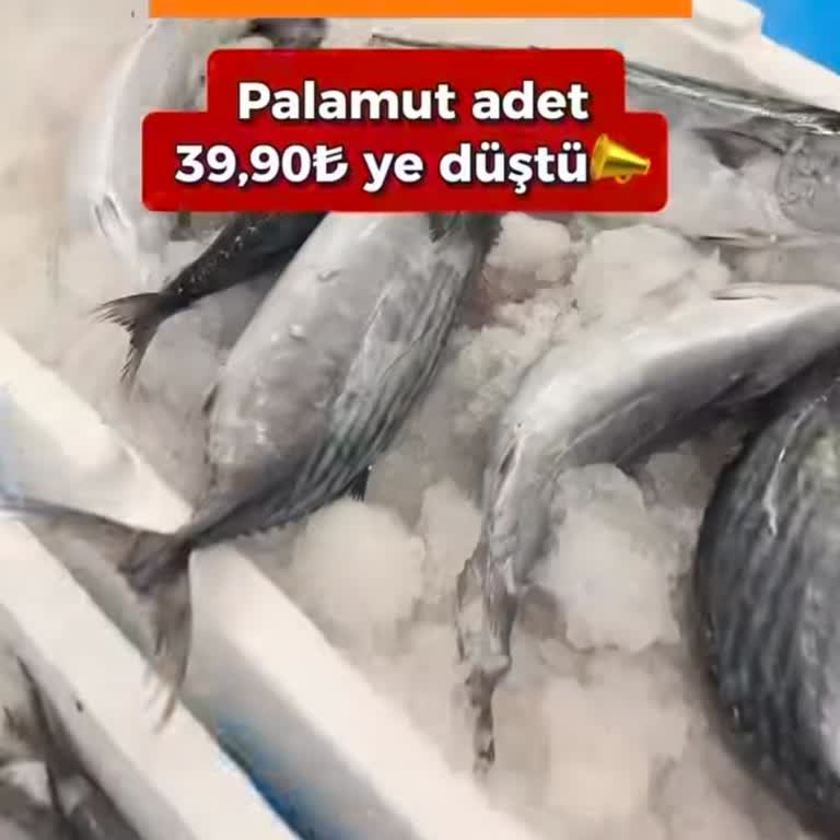 Palamut Kampanyasında Ürün Bulunamaması Ve Yanıltıcı Bilgi Şikayeti