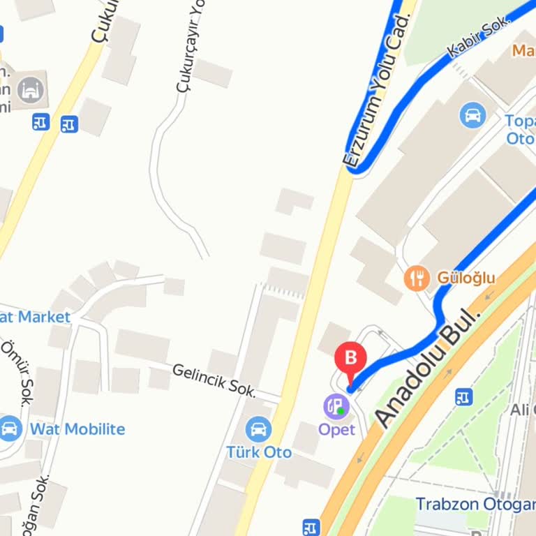 Opette Connect Cihazı Mobil Ödemesi Engelli Kullanıcıyı Yarıda Bırakıyor