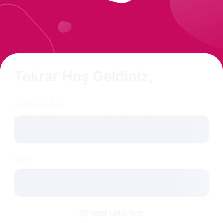 Genç Üniversiteli Burs Başvurusu Giriş Sorunu Ve Süre Kaçırma Riski