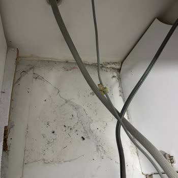 Hoover Kurutma Makinesinde Tekrarlayan Arıza Ve 4 Bin Liralık Bakım Ücretine Dair Şikayet