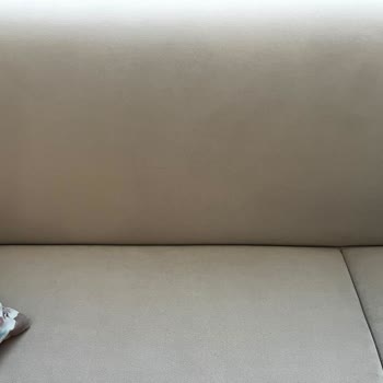 Electrolux Pure C9 PC91-ALRG Süpürgesinin Halı Başlığı Çalışmıyor, Koltukta Çizik Bırakıyor Ve Garanti Reddiyle Karşılaşıldı