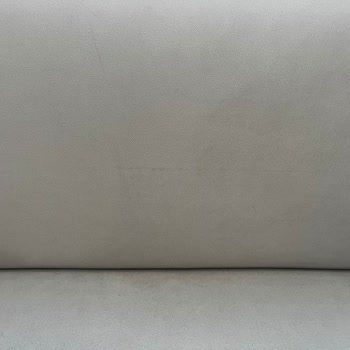 Electrolux Pure C9 PC91-ALRG Süpürgesinin Halı Başlığı Çalışmıyor, Koltukta Çizik Bırakıyor Ve Garanti Reddiyle Karşılaşıldı