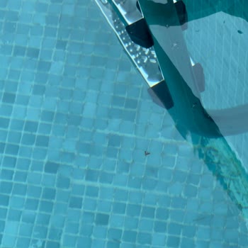 Dud Sapanca'da Hijyen, Mahremiyet Ve İlgisizlik Sorunları