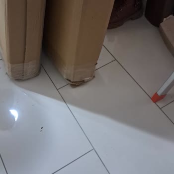 Horoz Lojistik'ten Sürekli Hasarlı Kargo Ve Kapı Dışı Teslimat Şikayeti