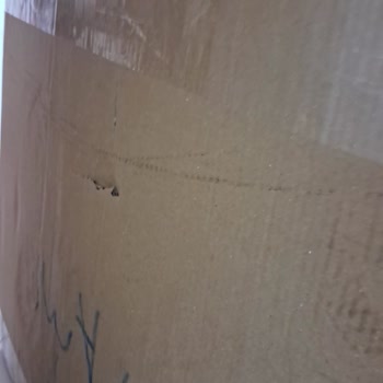 Horoz Lojistik'ten Sürekli Hasarlı Kargo Ve Kapı Dışı Teslimat Şikayeti