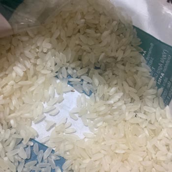 A101 Şubesinden Alınan Basmati Pirincinde Böcek Tespiti