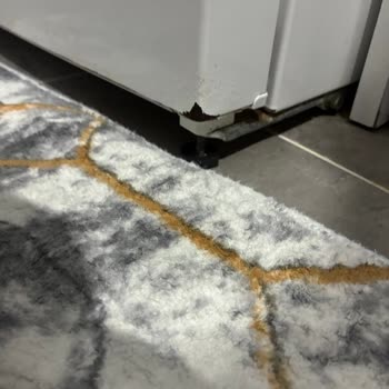 Bosch Buzdolabının Buzluk Kapağındaki Boya Soyulması Ve Kararma İçin Garanti Talebi