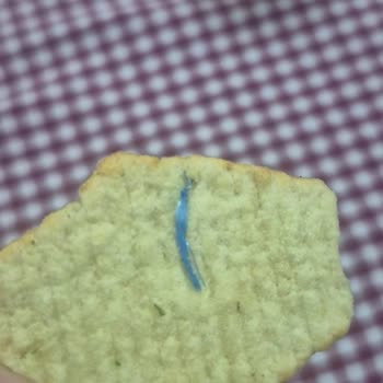 Lays Cipsinde Mavi Plastik Parça Görülmesi, Hijyen Ve Sağlık Endişesi