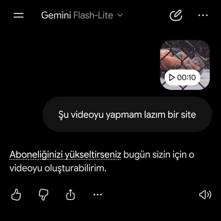 Google AI Plus Paketi İçin Ödenen Ücret İadesi Ve Video Oluşturma Hatası