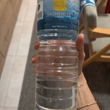 Seğmenler Su Ürünlerinde Görülen Yabancı Maddeler Ve Renk Değişikliği