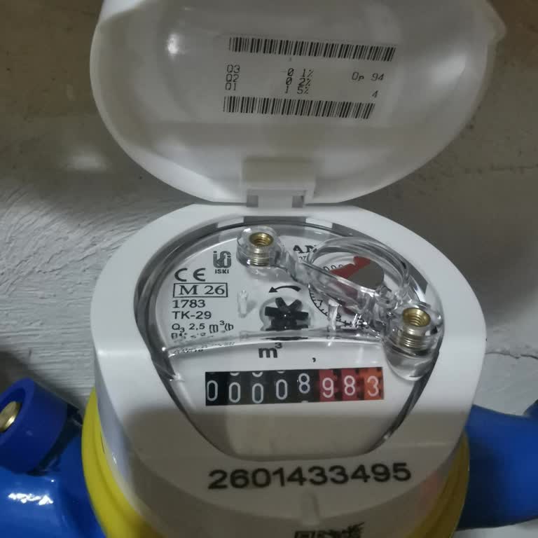 Su Faturasında Anormal Artış Ve Sayaç Okuma Hatası Talebi