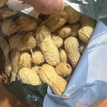 BİM Simbat Kabuklu Fıstıkta Kurt Ve Örümcek Ağı
