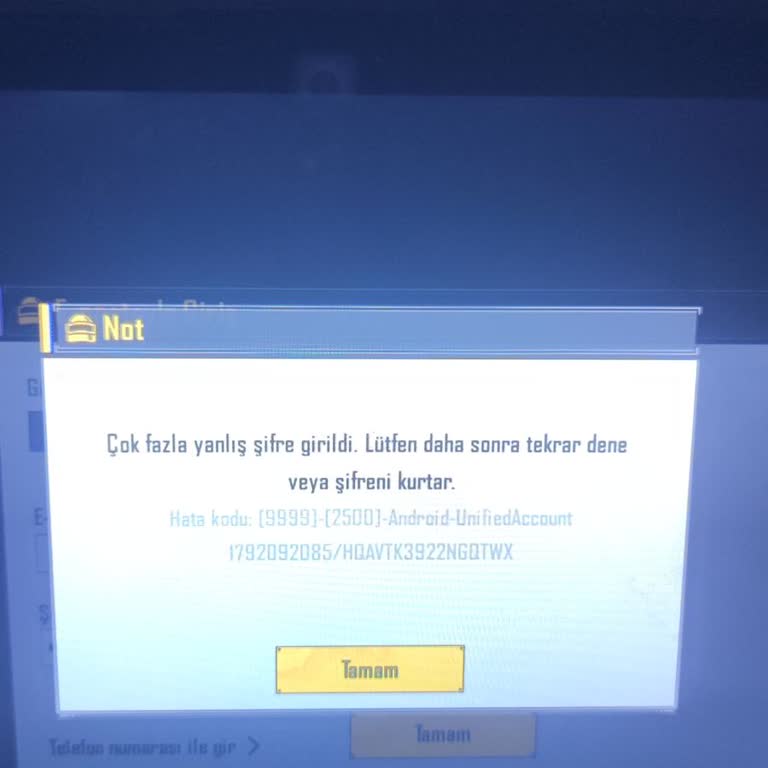 02Epin'den Satın Alınan Random Hesapta Giriş Engeli Ve Şifre Sıfırlama Sorunu