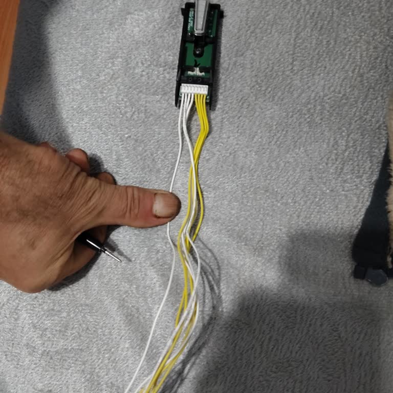 Philips Power Cyclone Süpürge Düğmesi Yedek Parça Satın Alımında Sorun