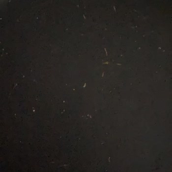 On Yıl Garantili Tencere Setinde Çizilme Ve Kulp Sorunu, Evkur Ve Karaca Sorumluluk Reddi